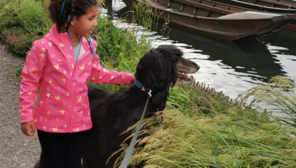 Ziggy hat eine neue Familie gefunden